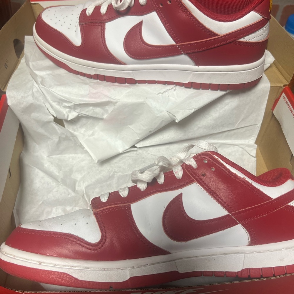 Nike Dunk Low Retro